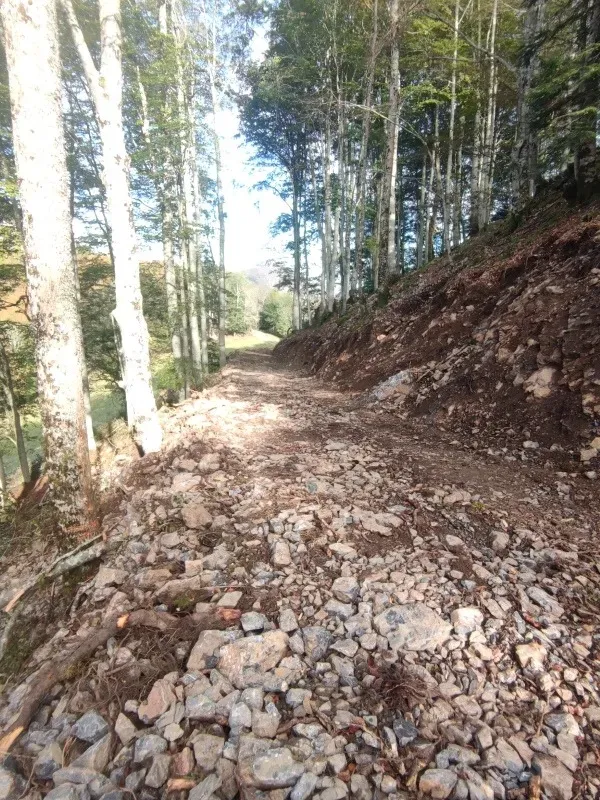 Viabilisation terrain près de Pinas